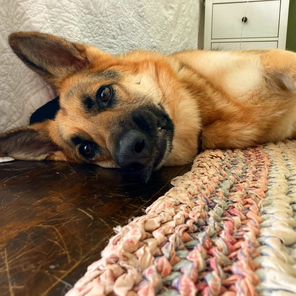 Meet your Posher, Amanda - Picture 2 of 3